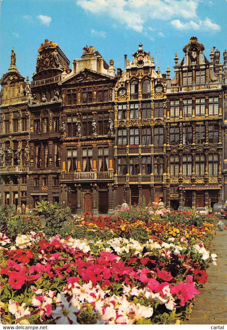 CPM - BRUXELLES - Grand Place, La Brouette, Le Sac, La Louve - Places, Squares