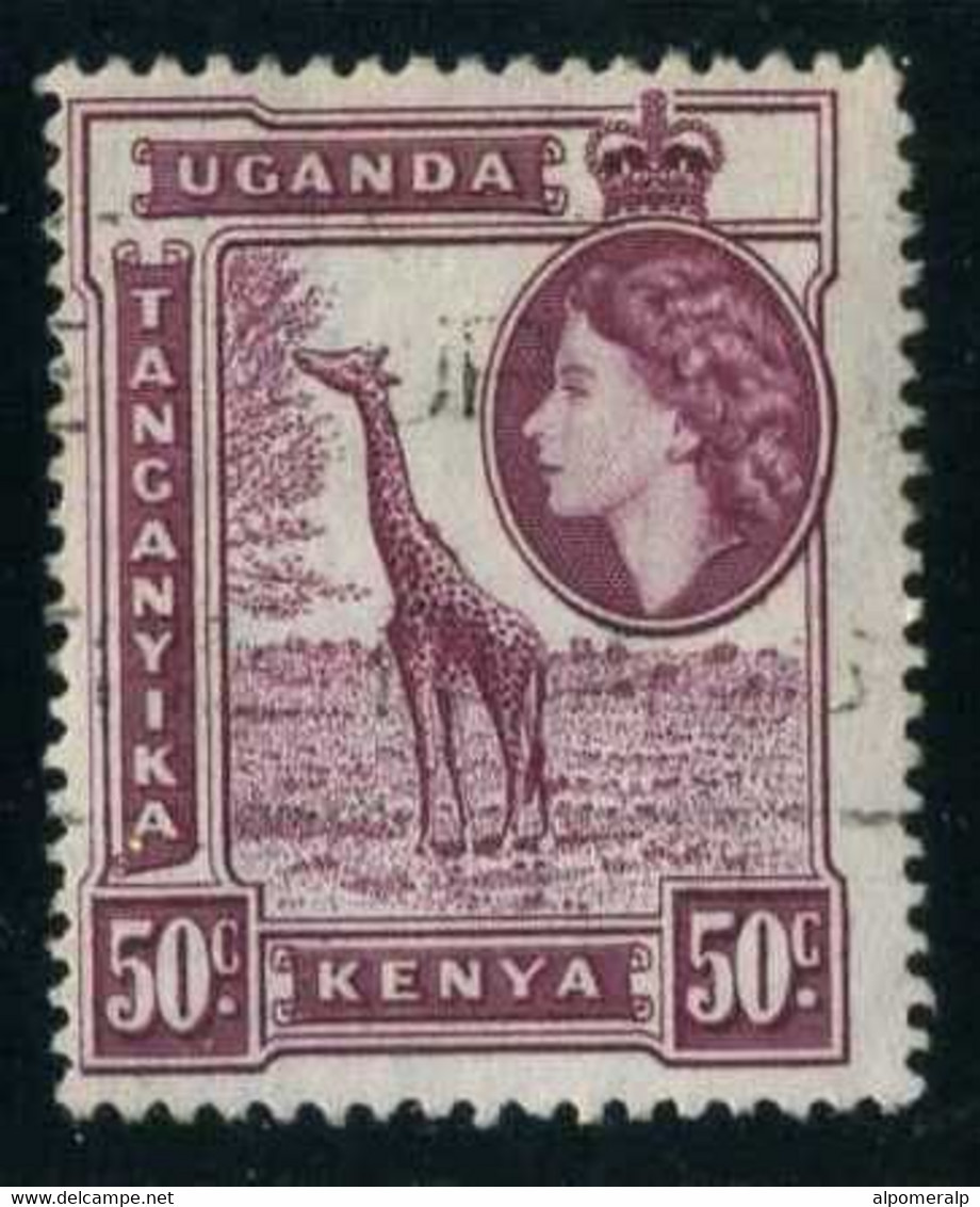 British East Africa 1954 Mi 98 Giraffe (Giraffa Camelopardalis) | Queen Elizabeth II, Royalty | Animal (Fauna) Giraffes - Britisch-Ostafrika