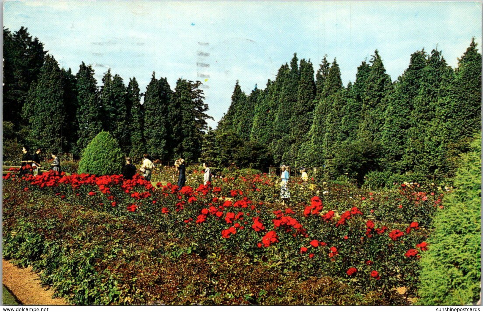 Washington Seattle Woodland Park Formal Gardens 1960 - Seattle