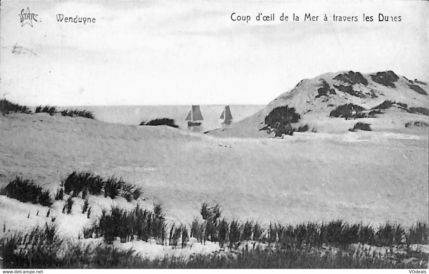 Belgique - Flandre Occidentale - Wenduine - Wenduyne - Coup D'oeil De La Mer à Travers Les Dunes - Wenduine