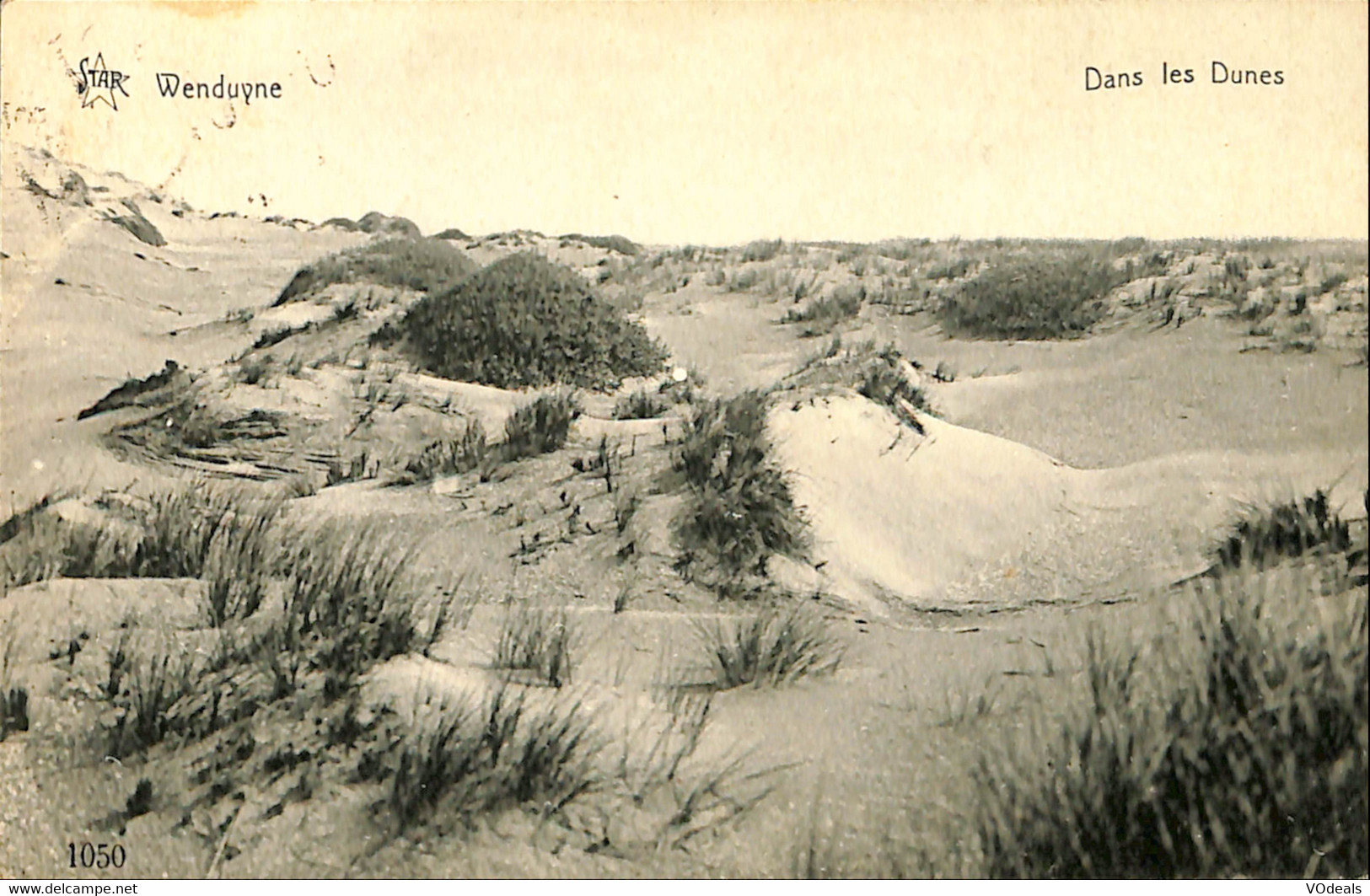 Belgique - Flandre Occidentale - Wenduine - Wenduyne - Dans Les Dunes - Wenduine