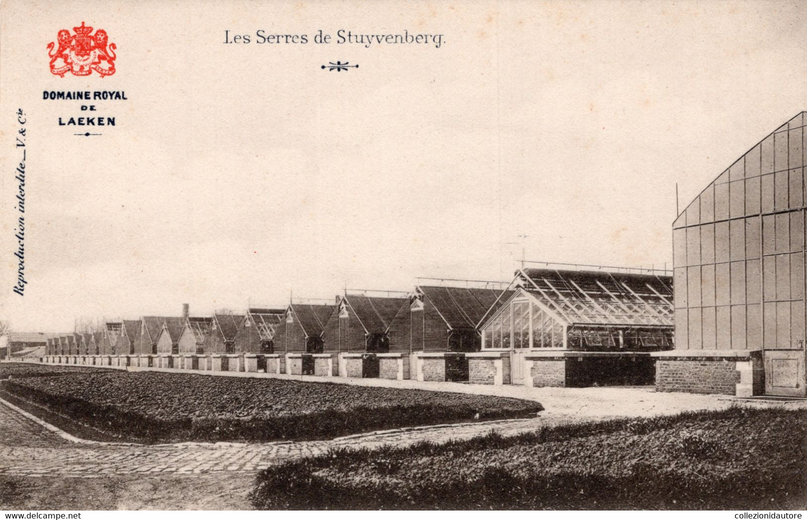 LE SERRES DE STUYVENBERG - CARTOLINA FP NUOVA - Laeken