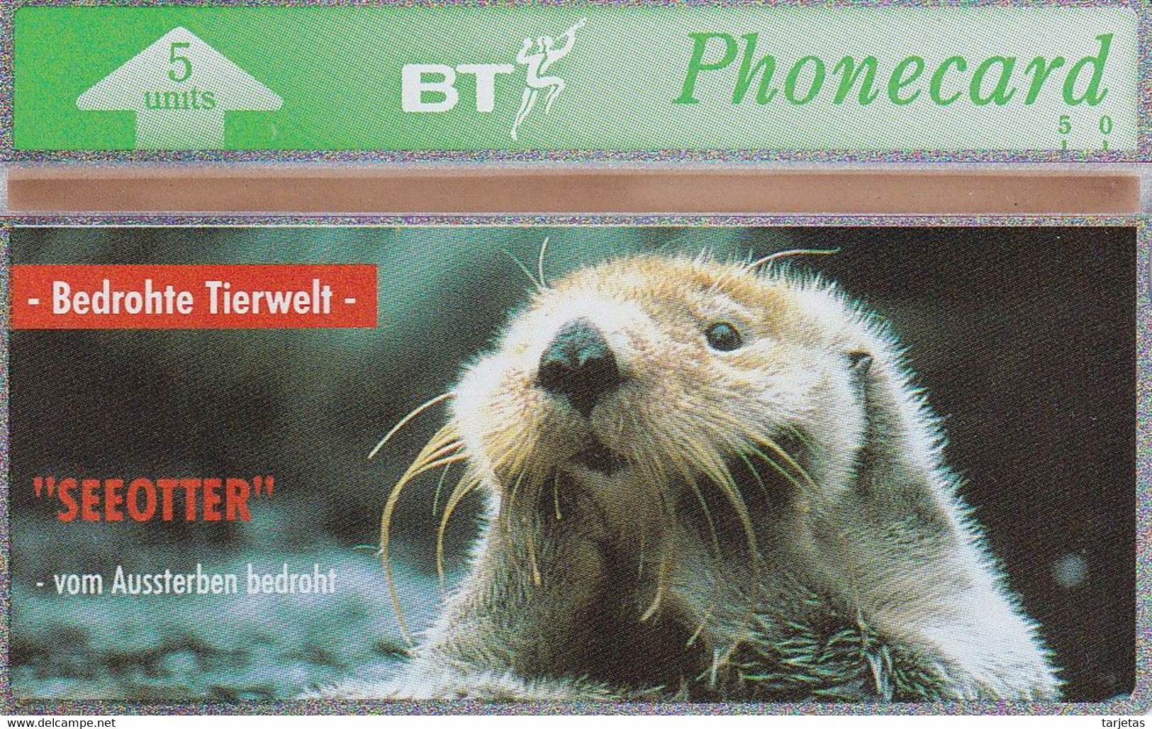 TARJETA DE REINO UNIDO DE UNA NUTRIA MARINA (SEA OTTER)  NUEVA-MINT - Otros & Sin Clasificación