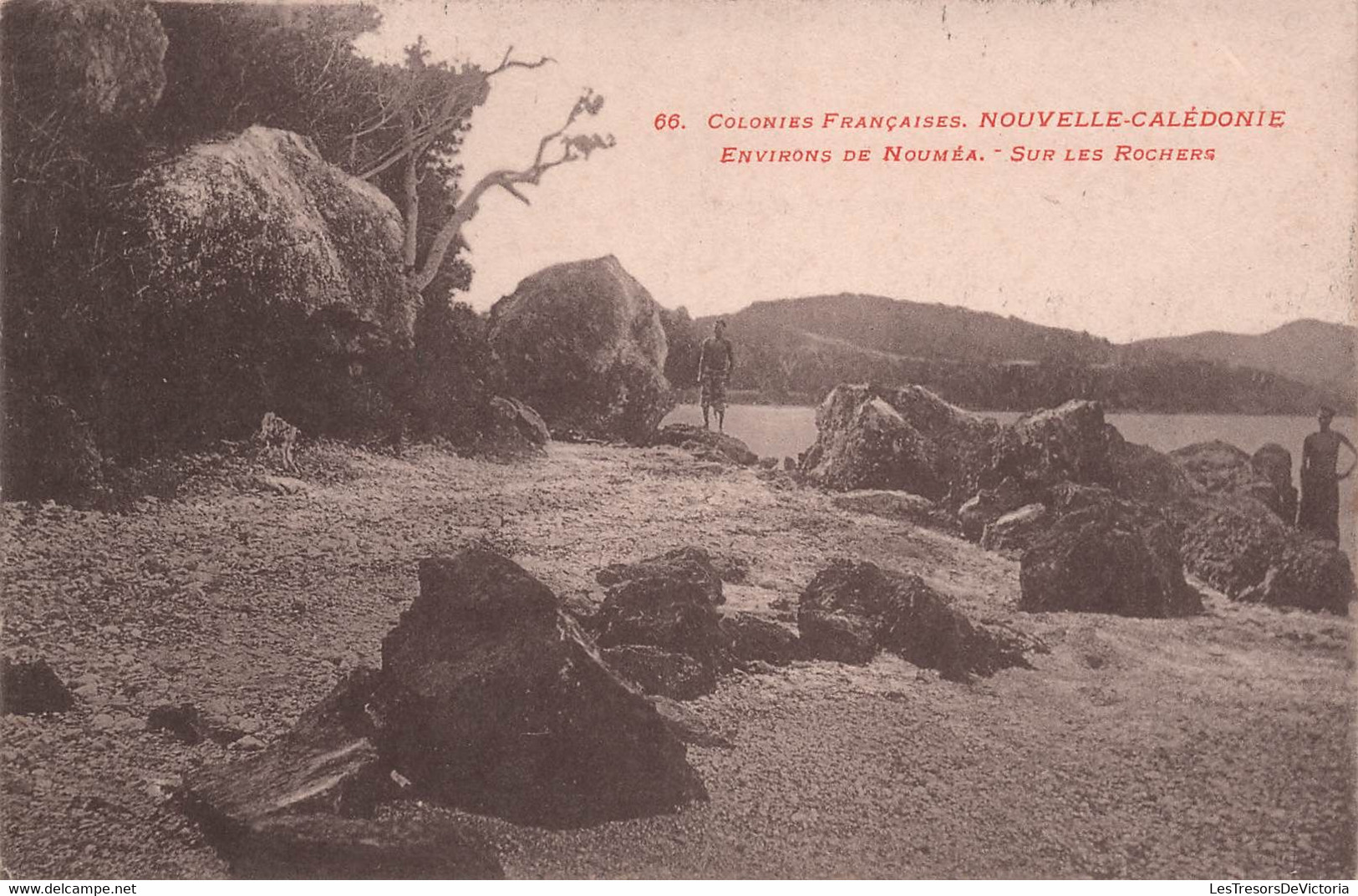 Nouvelle Caledonie - Environs De Noumea - Sur Les Rochers  - Carte Postale Ancienne - Nieuw-Caledonië