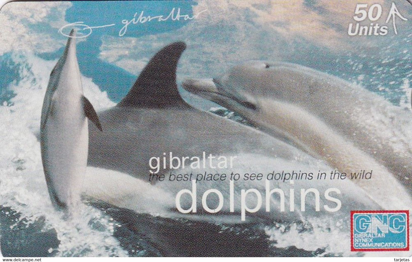 TARJETA DE GIBRALTAR DE UNOS DELFINES (DOLPHINS-DELFIN) - Delfines