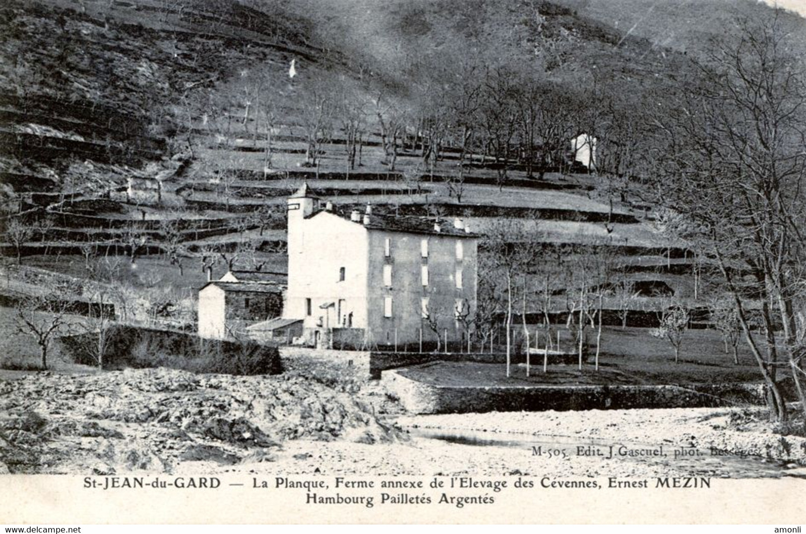 30. GARD - ST-JEAN DU GARD. La Planque, Ferme Annexe De L'Elevage... E. Mazin. Hambourgs Pailletés Et Argentés - Saint-Jean-du-Gard