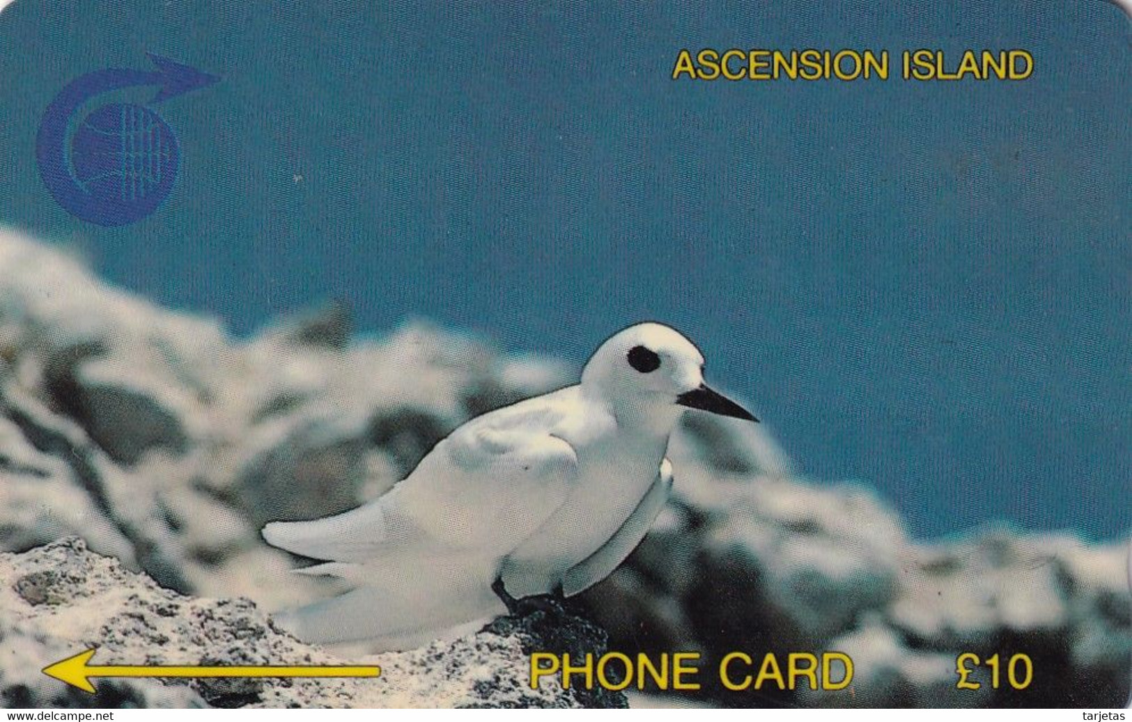 TARJETA DE ASCENSION ISLAND DE UN PAJARO (BIRD-PAJARO) 2CASB - Ascension (Ile De L')