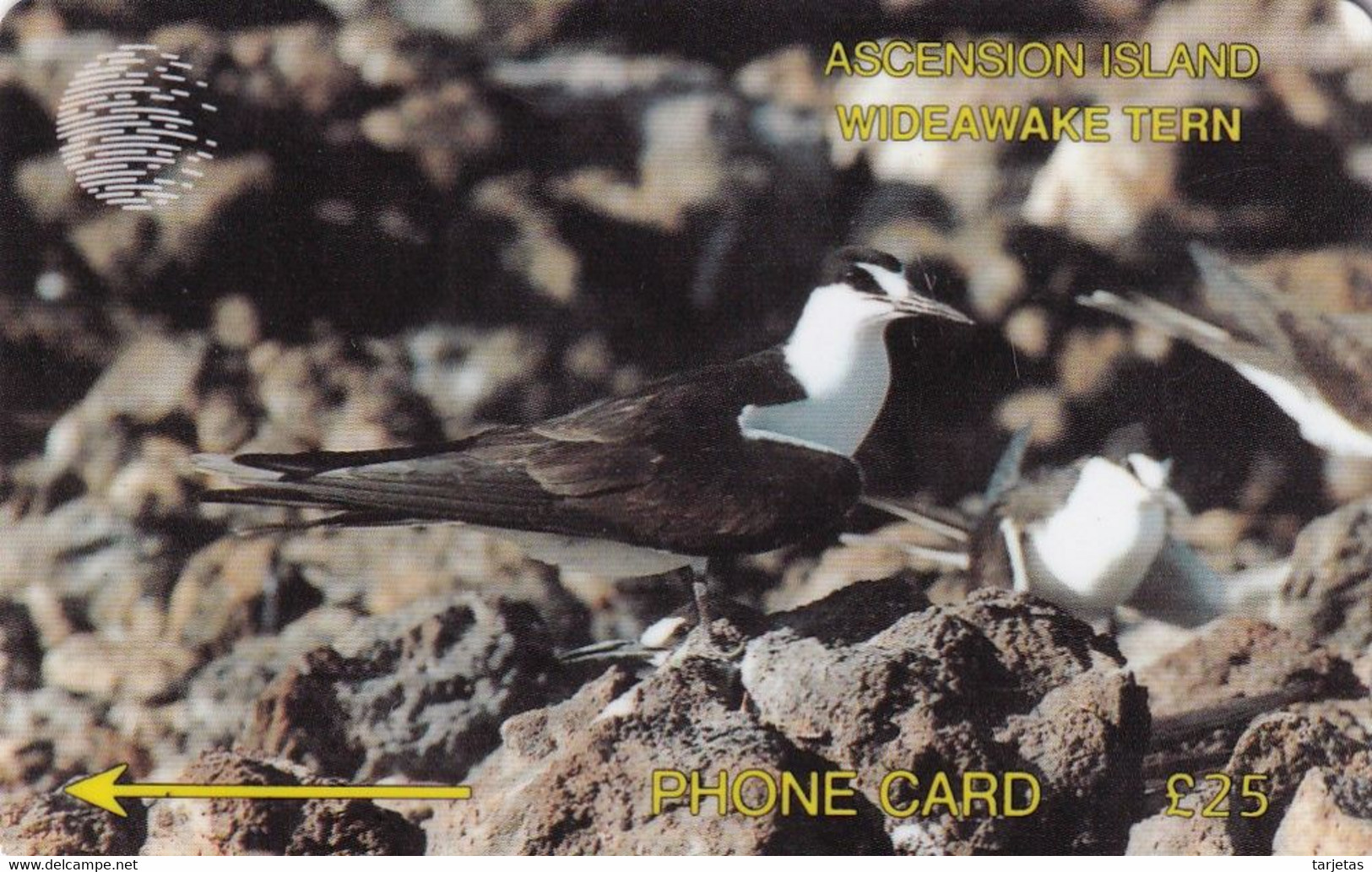 TARJETA DE ASCENSION ISLAND DE UN PAJARO (BIRD-PAJARO) 3CASD - Islas Ascensión