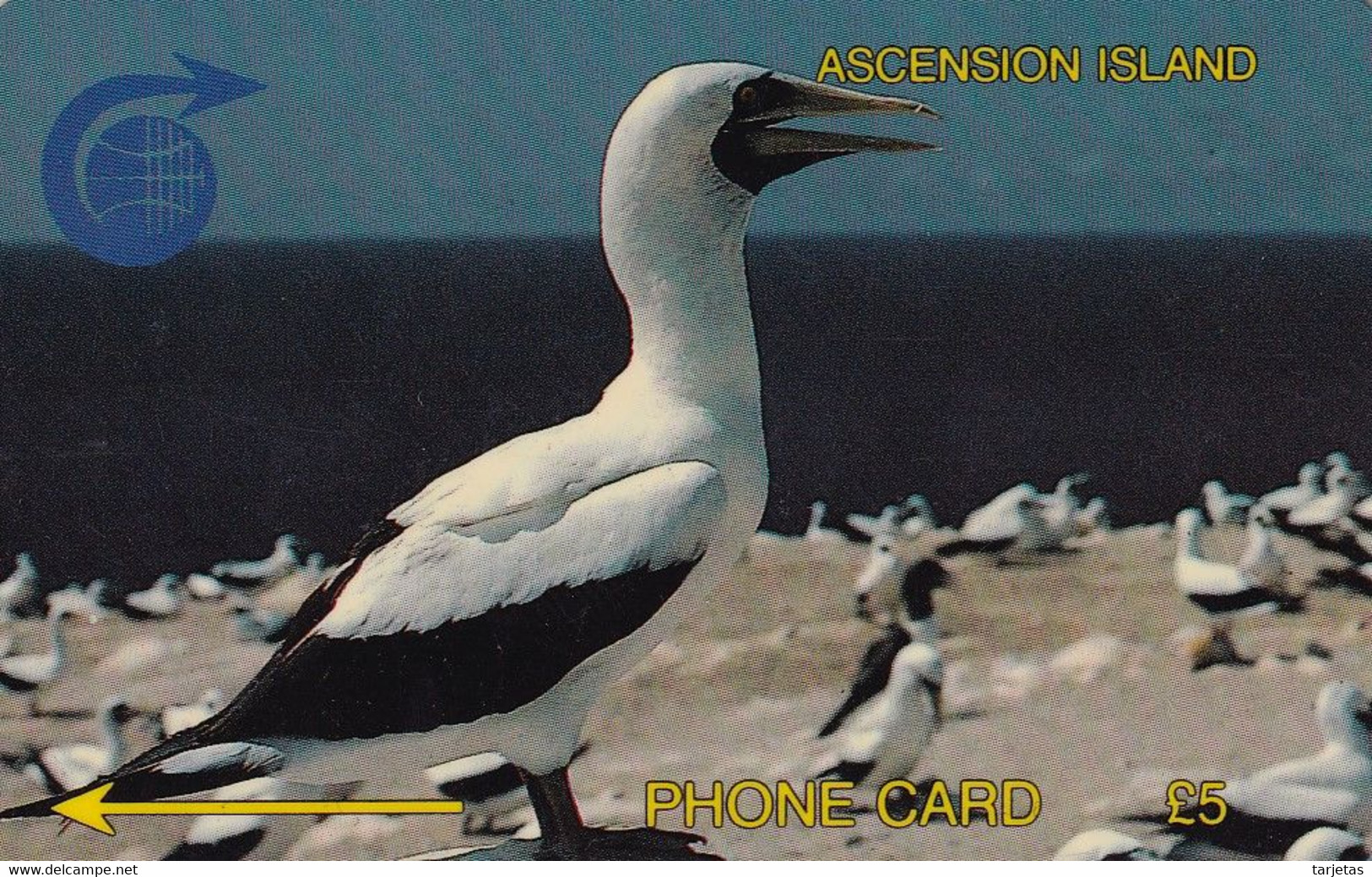 TARJETA DE ASCENSION ISLAND DE UN PAJARO (BIRD-PAJARO) 2CASA - Ascension (Ile De L')