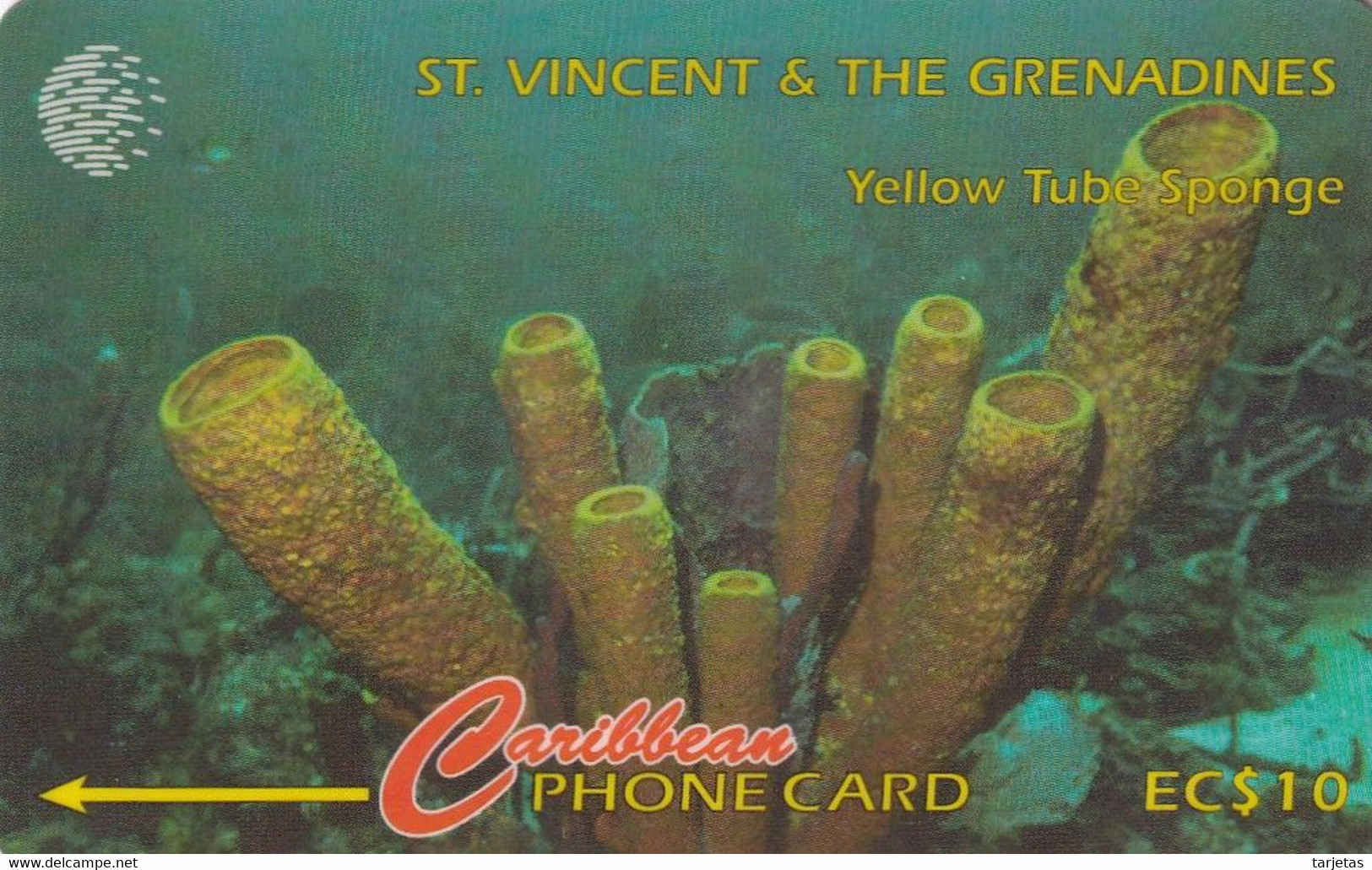 TARJETA DE ST. VINCENT & GRENADINES DE 10$ DE YELLOW TUBE SPONGE (142CSVB) - Saint-Vincent-et-les-Grenadines