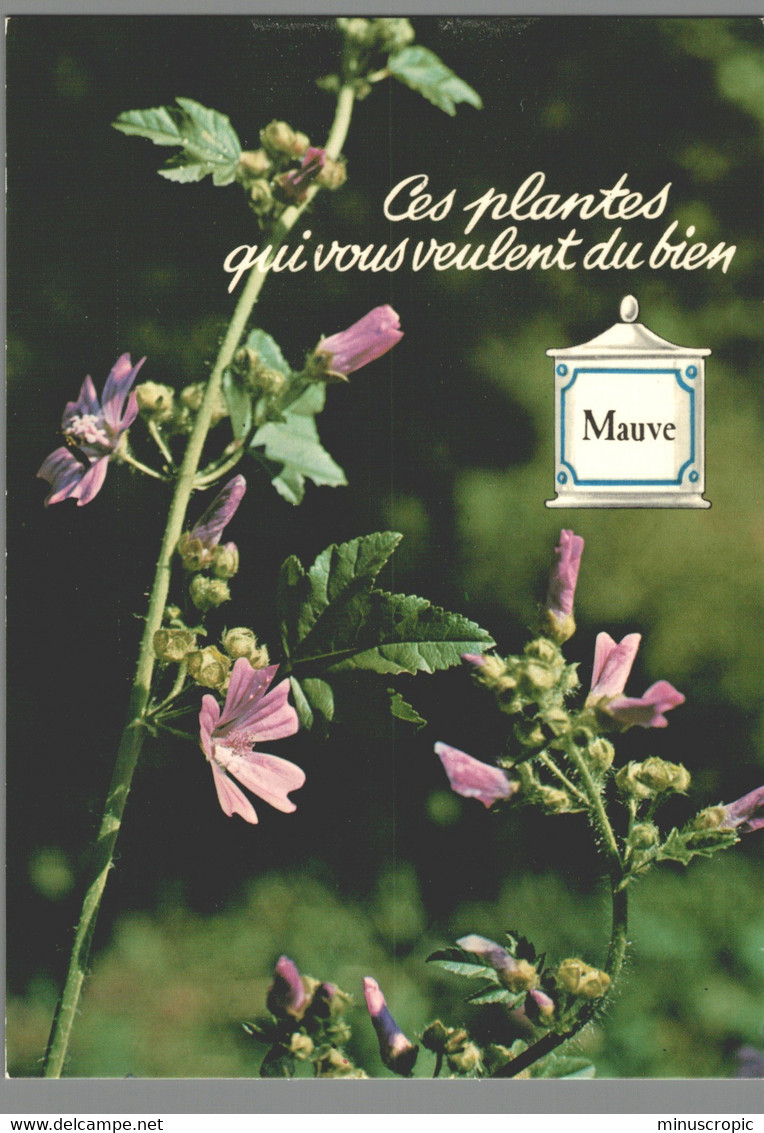 CPM - Ces Plantes Qui Vous Veulent Du Bien - Mauve - Geneeskrachtige Planten