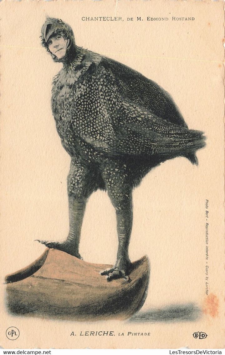 Fantaisies - A. Leriche  - La Pintade - Chantecler M. Edmond Rostand - Photo Bert - Edit. E.L.D - Carte Postale Ancienne - Dressed Animals