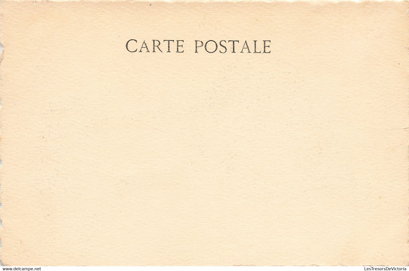 Fantaisies - A. Leriche  - La Pintade - Chantecler M. Edmond Rostand - Photo Bert - Edit. E.L.D - Carte Postale Ancienne - Dressed Animals