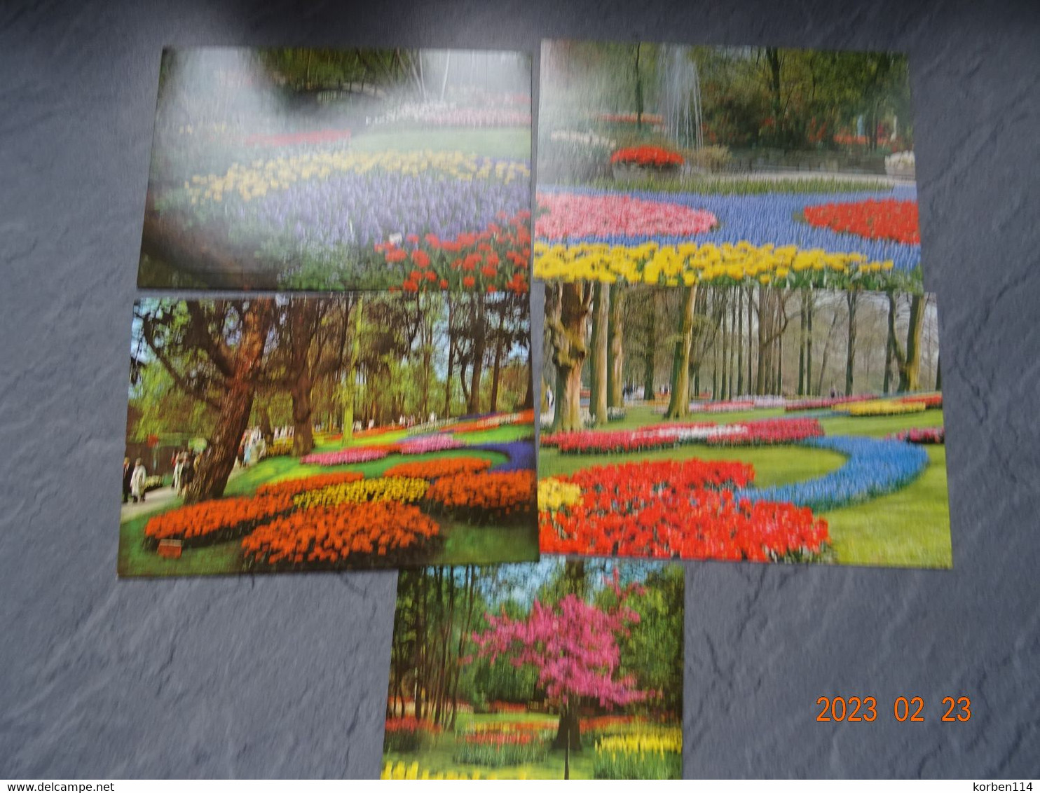 BOEKJE VAN  10  PK/CP  15  X  9,50  CM   "  KEUKENHOF  " - Lisse