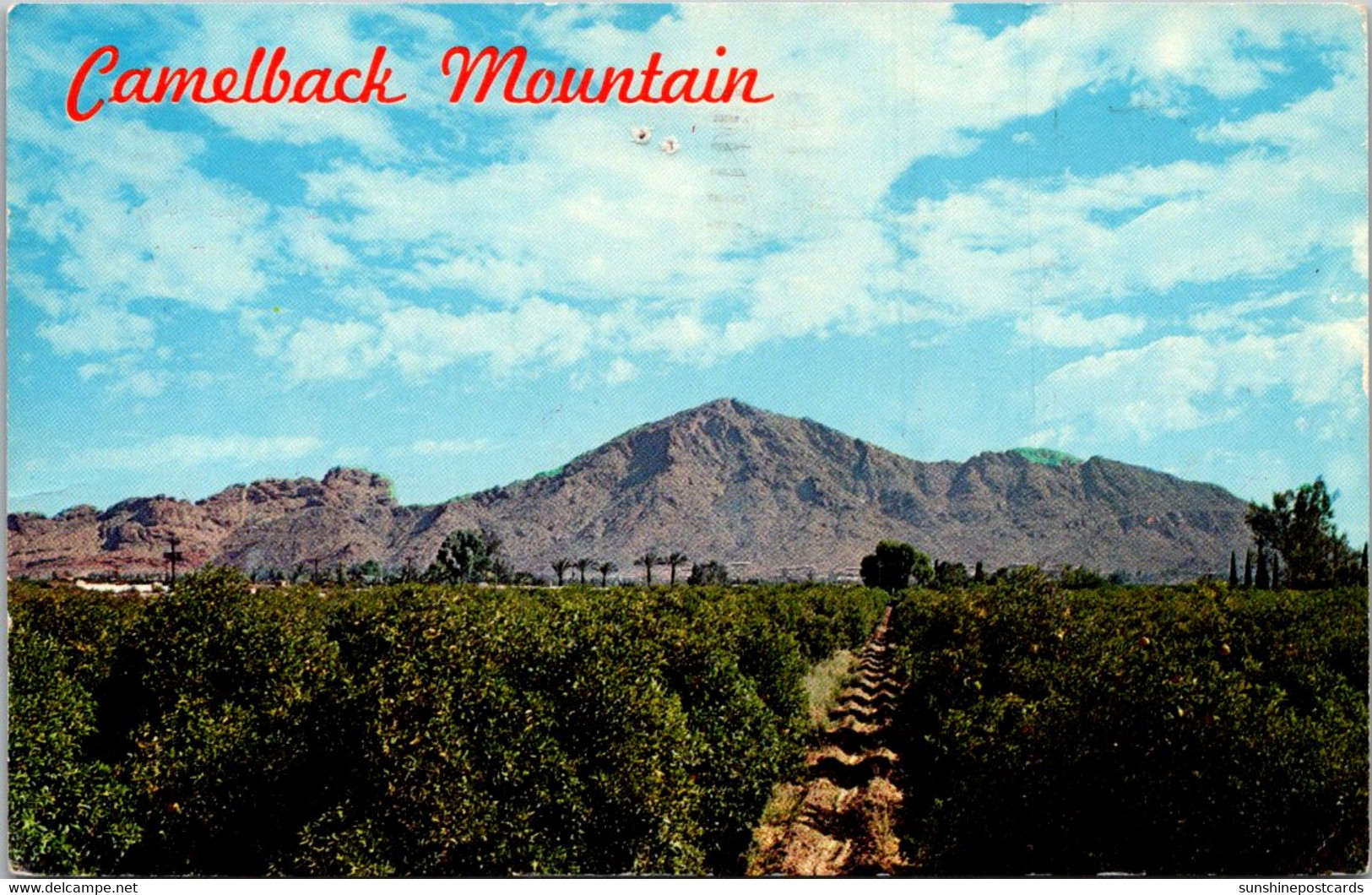 Arizona Camelback Mountain Near Phoenix 1961 - Phoenix