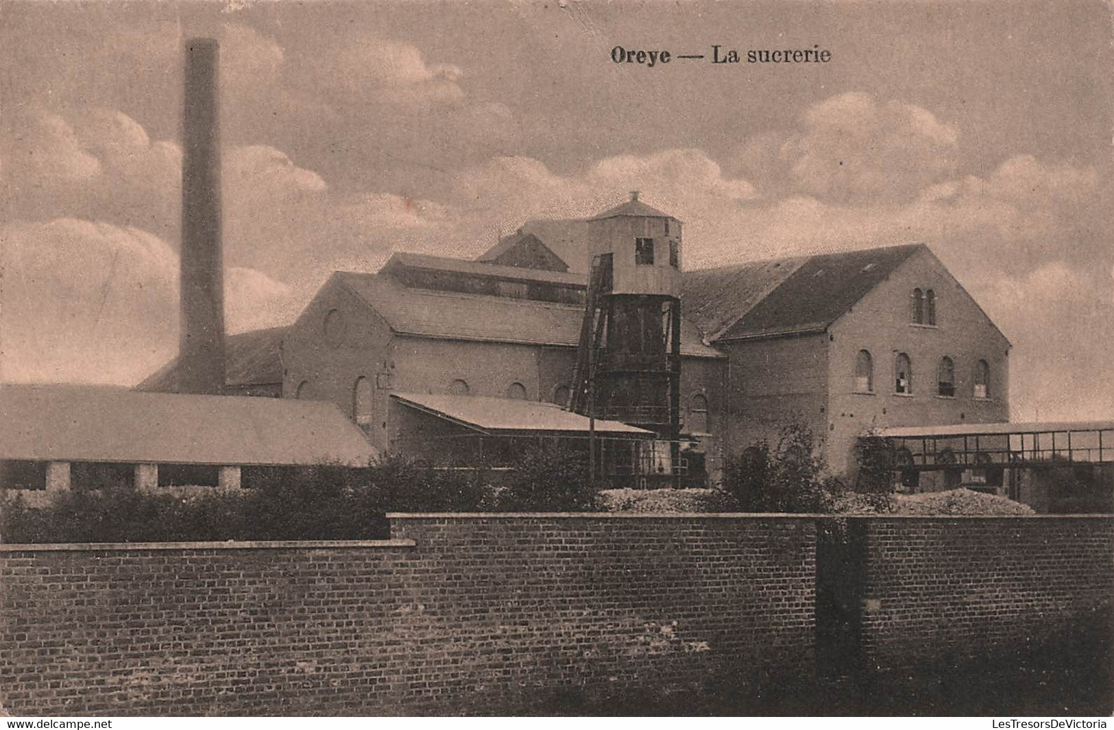 BELGIQUE - Oreye - Oreye - La Sucrerie - Carte Postale Ancienne - - Oreye