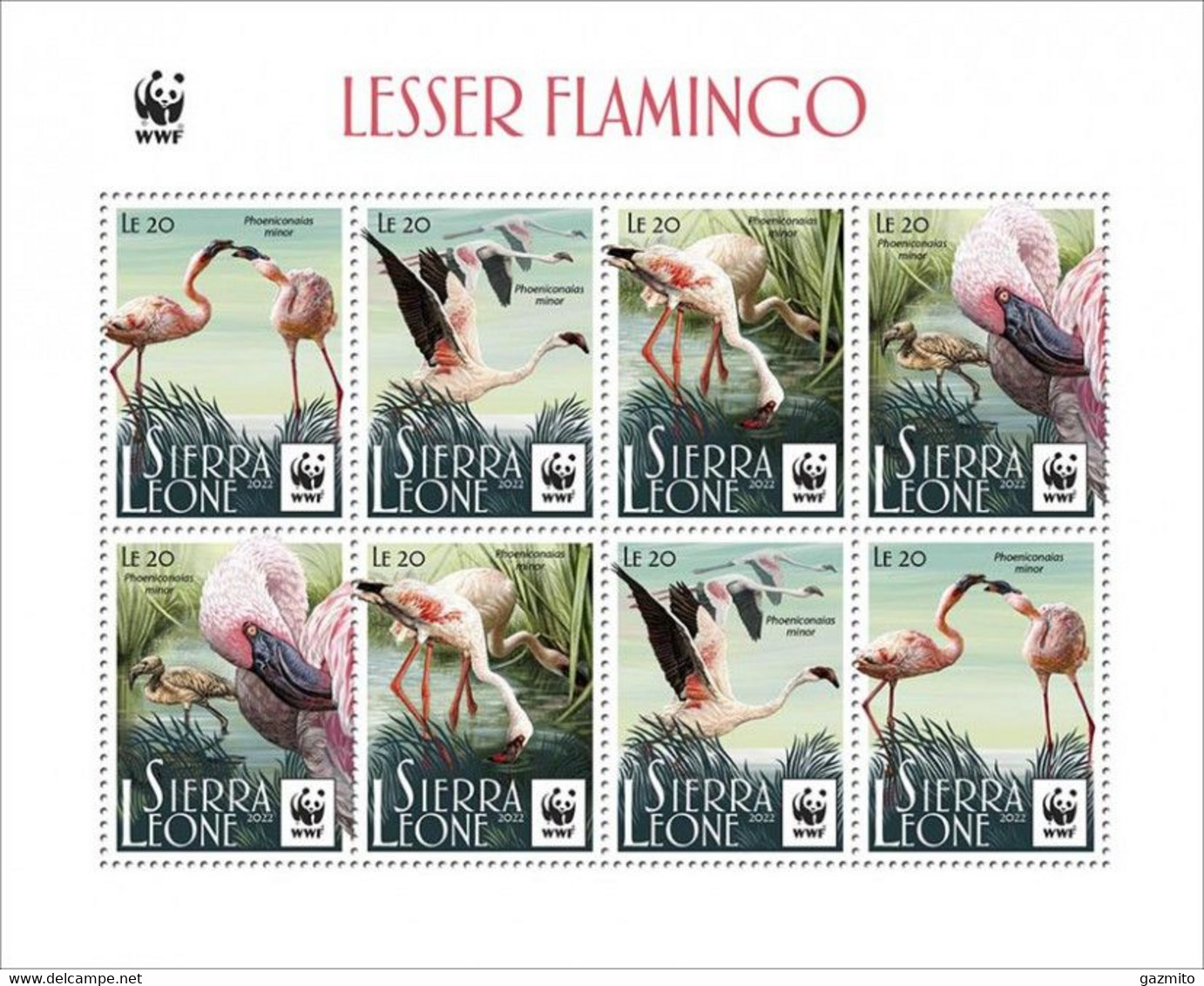 Sierra Leone 2022, WWF, Flamingo, Reprinted, 8val In Sheetlet - Flamants