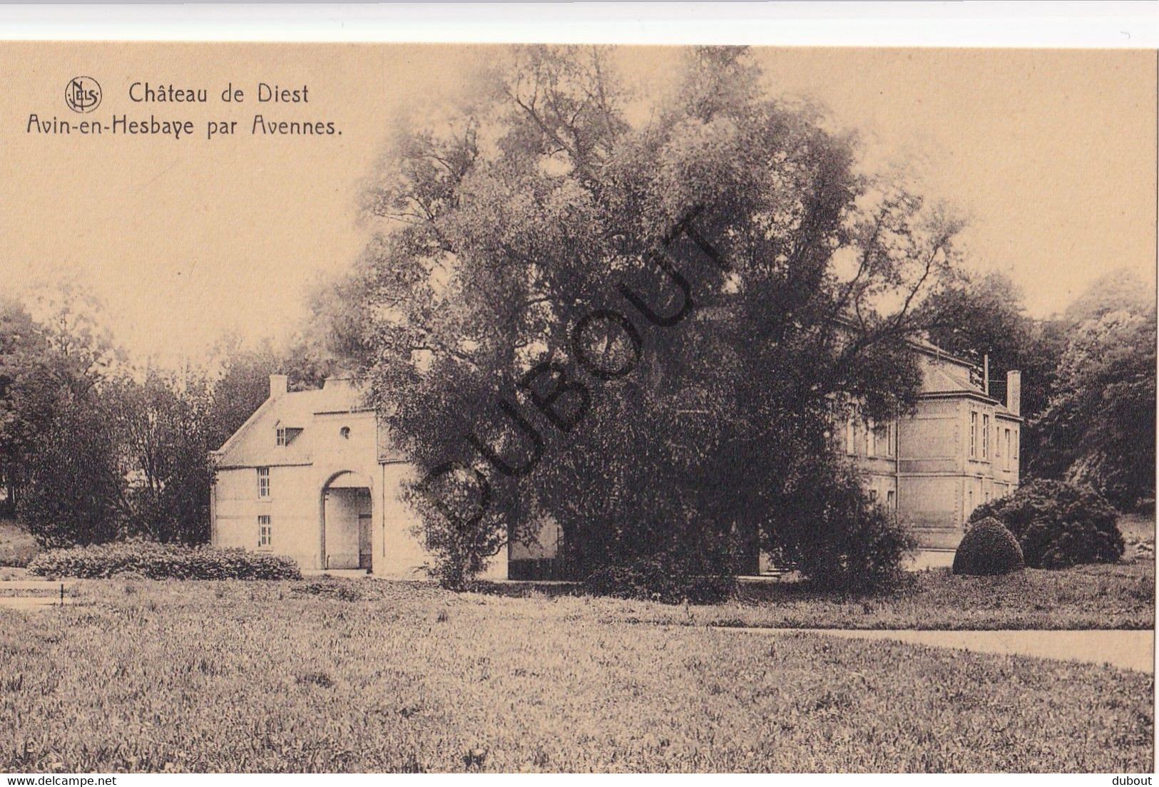 Postkaart/Carte Postale - AVIN - Château De Diest  (C3711) - Hannut