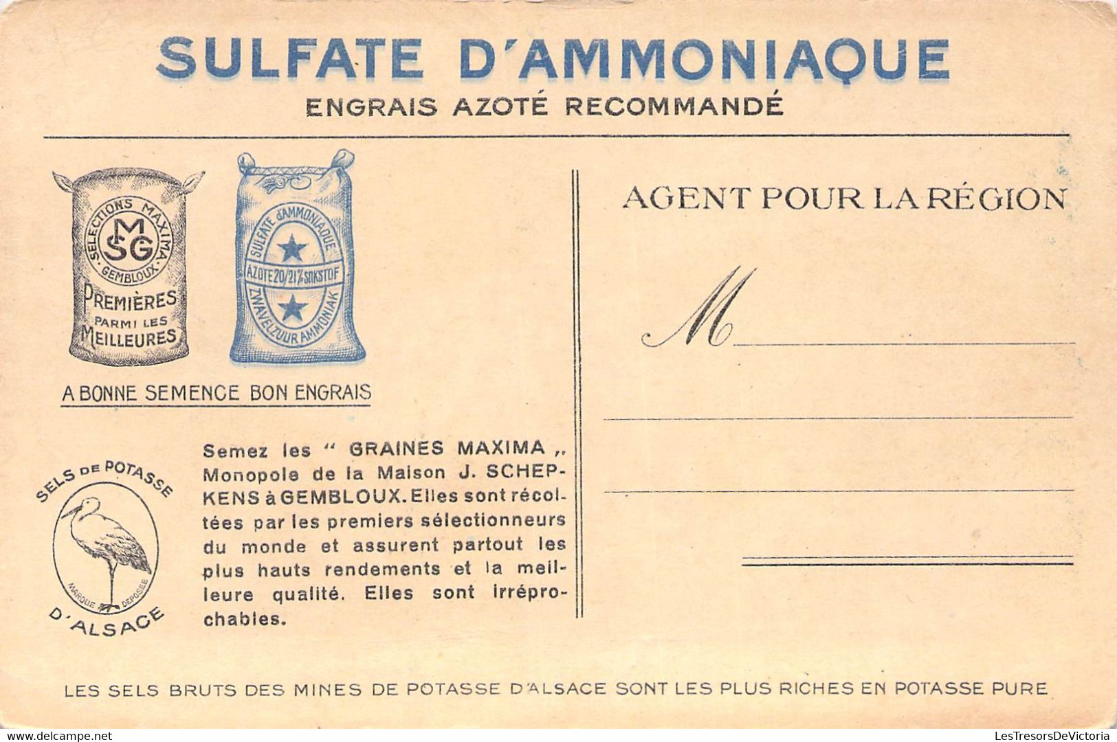 PUBLICITE - SULFATE D'Amoniaque - Graines Maxima - J Schepkens à Gembloux - Betterave Sucrière - Carte Postale Ancienne - Werbepostkarten