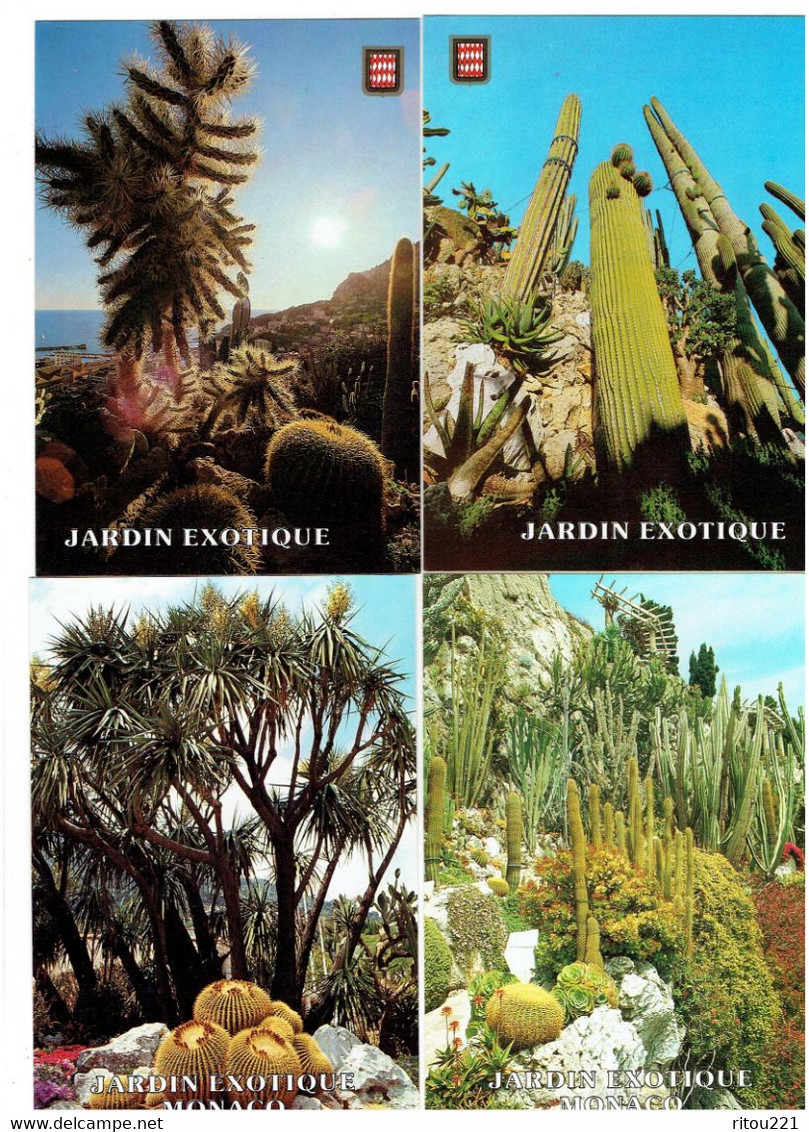 Lot 4 Cpm - MONACO - Jardin Exotique - Fleur CACTUS - Arbre - Cactusses