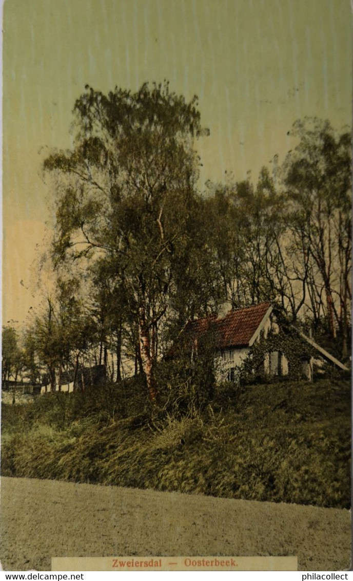 Oosterbeek (Gld.) Zweiersdal 1909 - Oosterbeek