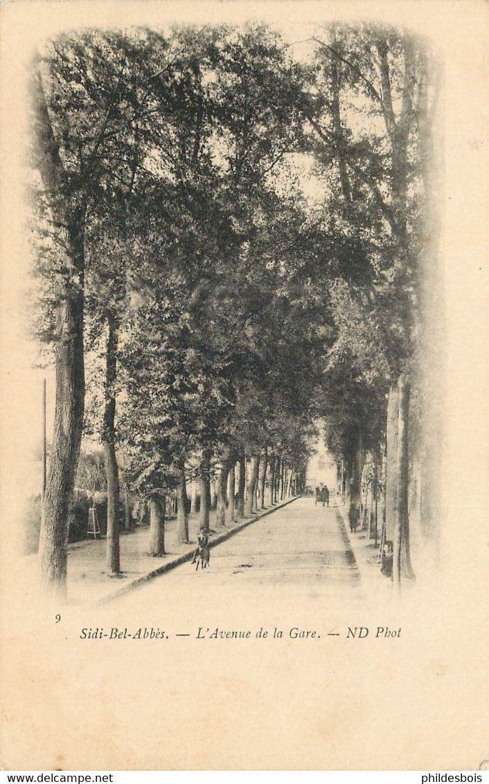 ALGERIE  SIDI BEL ABBES  Avenue De La Gare - Sidi-bel-Abbès