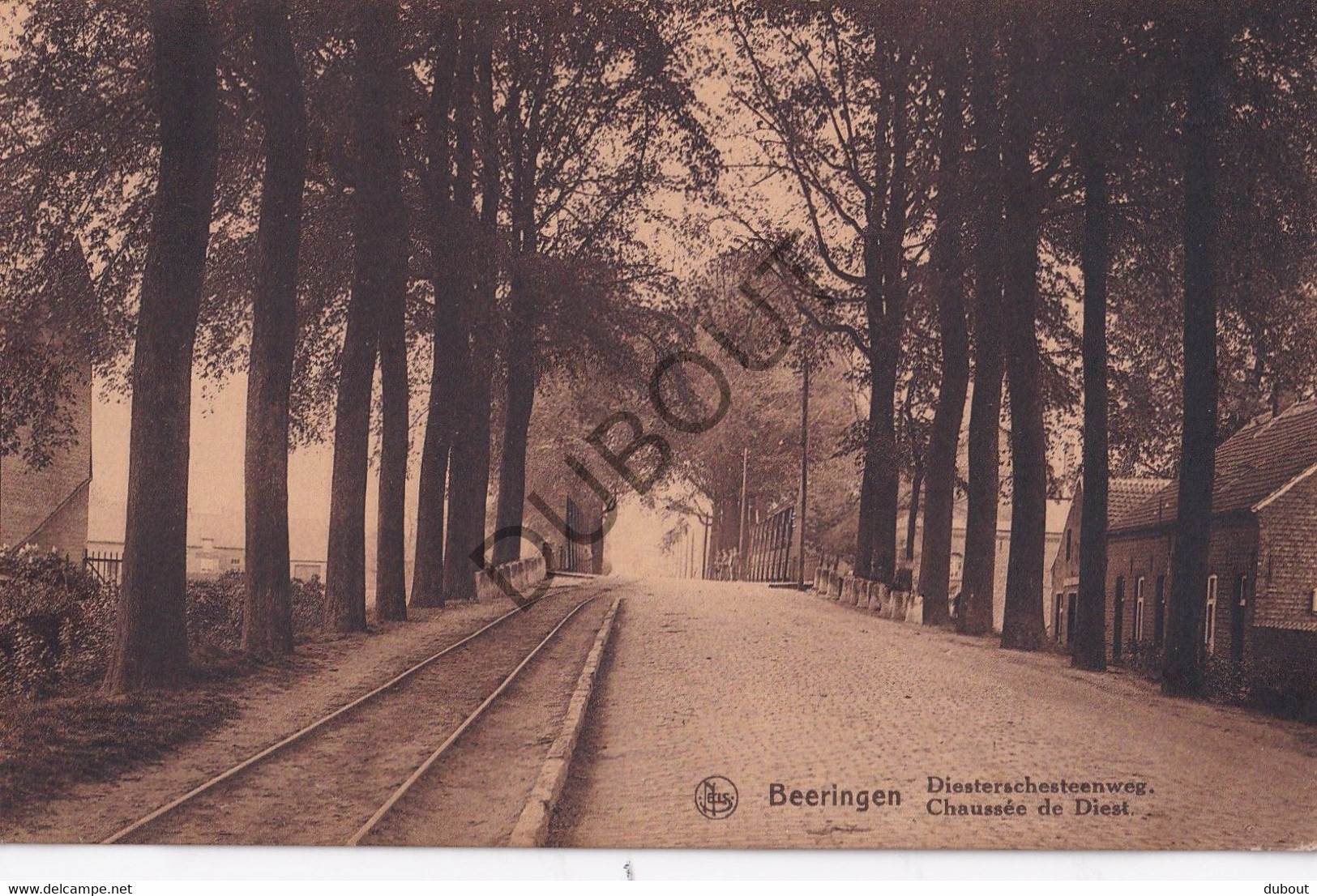 Postkaart/Carte Postale - Beringen -  Diesterschesteenweg - Tramspoor  (C3644) - Beringen