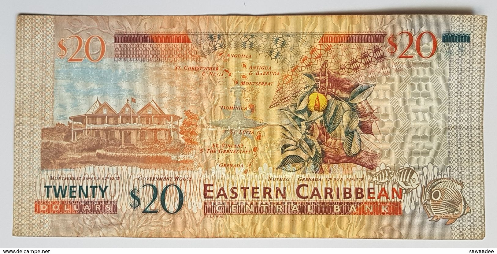 BILLET DE BANQUE - CARAÏBES ORIENTALES - ILE DE STE LUCIE - P.20 L - 20 $ - 1993 - ELISABETH II - TORTUE - FRUIT - Caribes Orientales