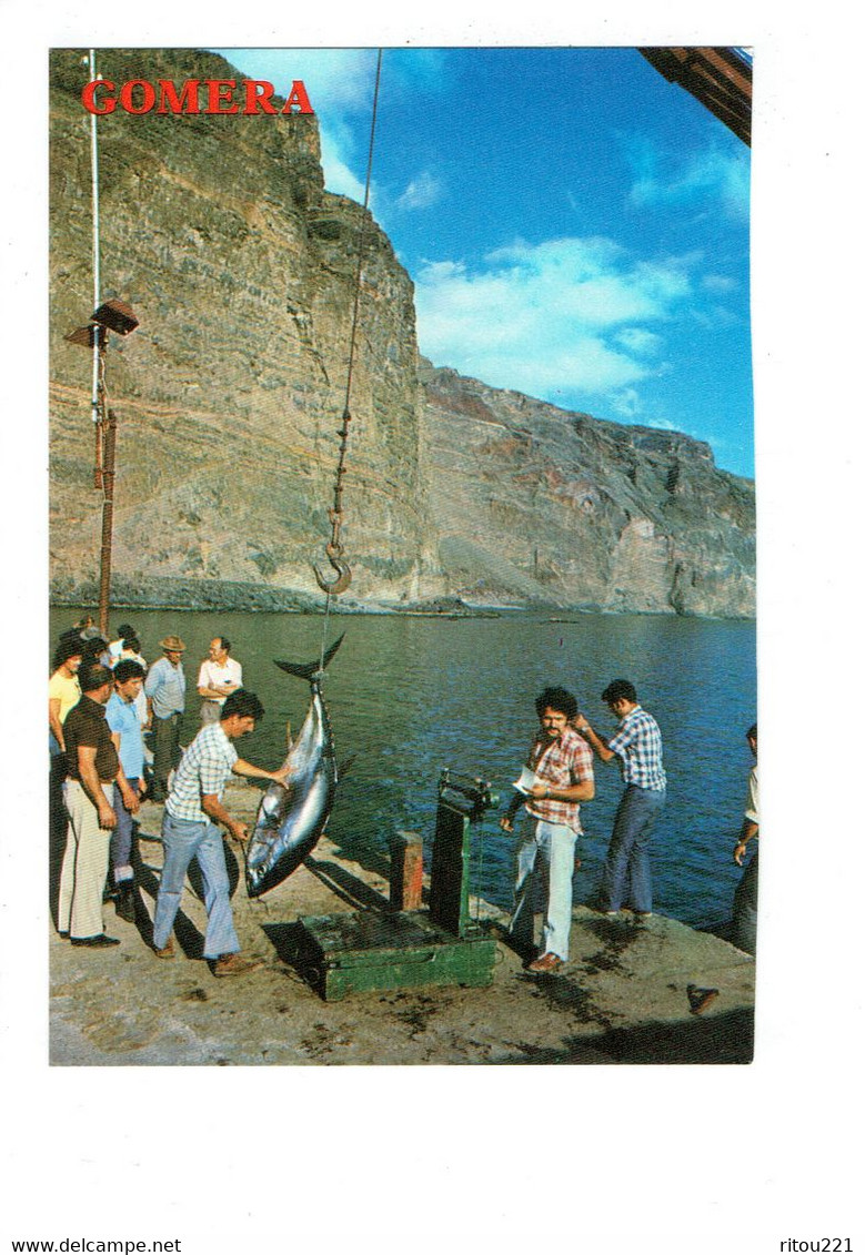 Cpm - GOMERA - VALLE GRAN REY - Pesage Du Thon - Pêcheur Balance Pesée Poisson - Gomera