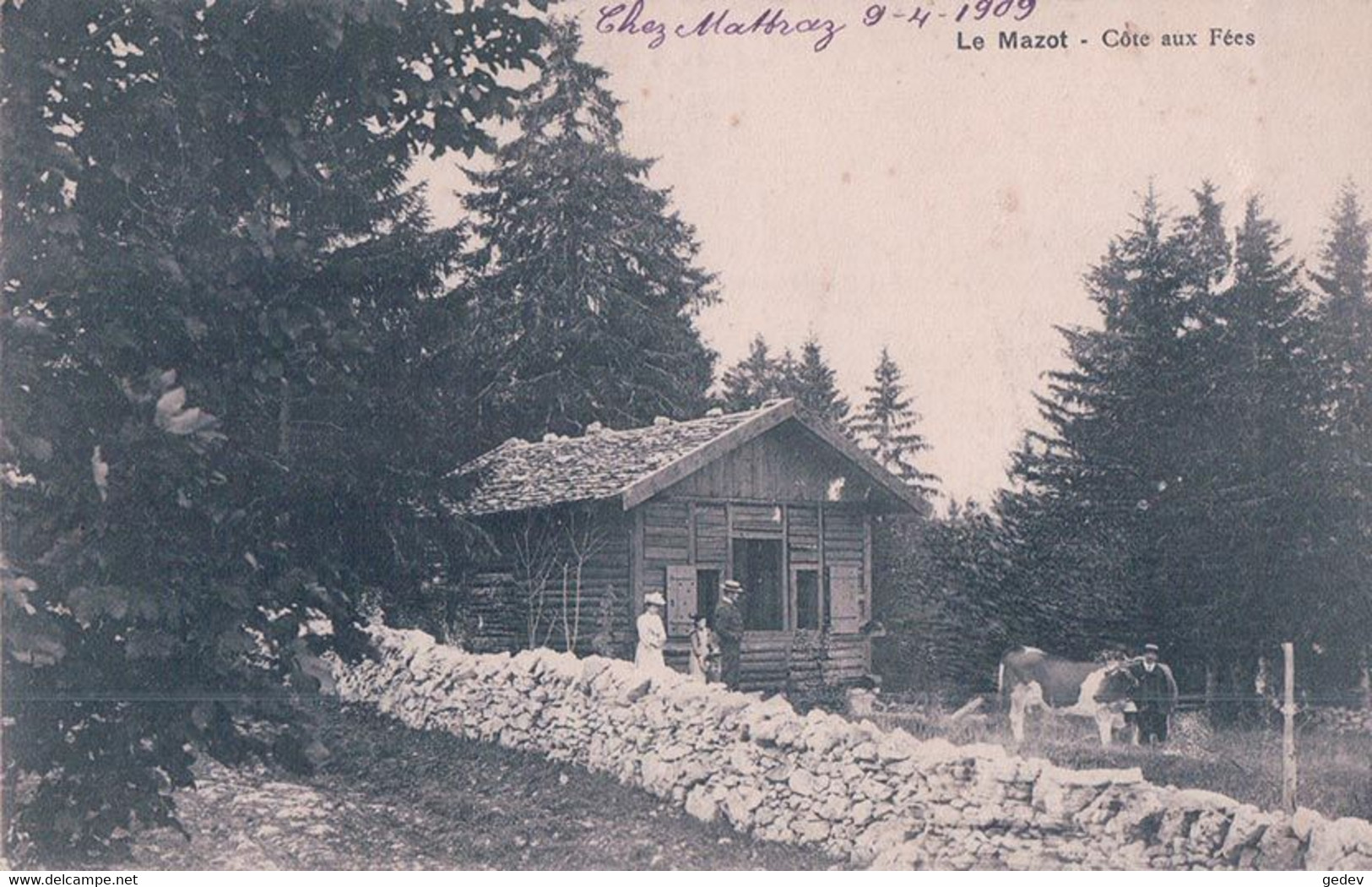 La Côte Aux Fées NE, Le Mazot, Personnages Et Vache (10.4.1909) - La Côte-aux-Fées