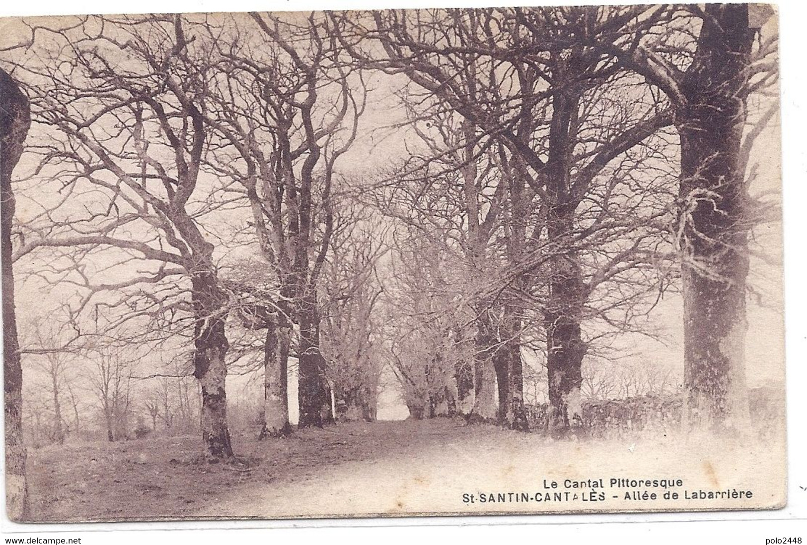 CPA - Saint Santin Cantalès - Allée De Labarrière - Carlat