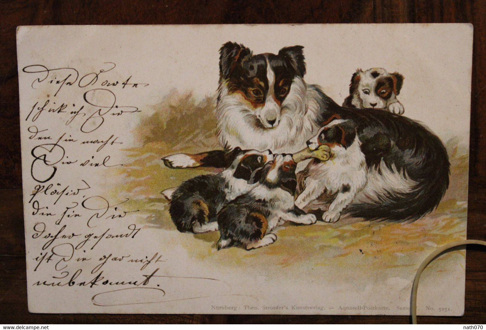 AK 1899 Cpa Chiens Border Coolie ? Chiots Litho Elsass - Hunde