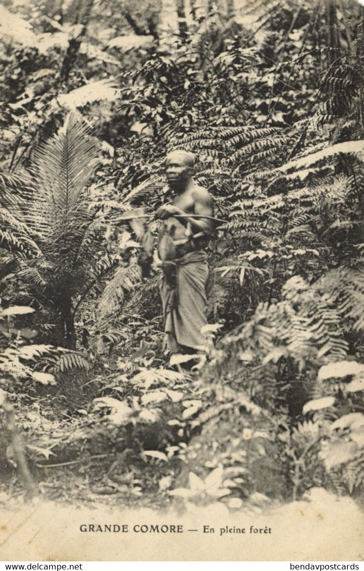 Comoros, GRANDE COMORE, En Pleine Forêt, Man In The Forest (1910s) Postcard - Comorre