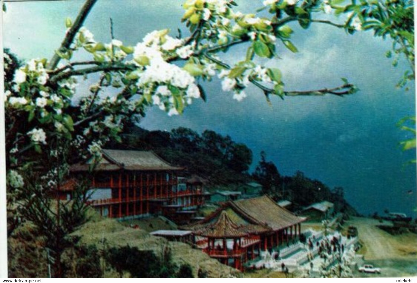 FORMOSE-PEAR FLOWERS GLARE UPON THE GUEST HOUSE -LI SHAN STATION-CROSS-ISLAND HIGH WAY - Formose