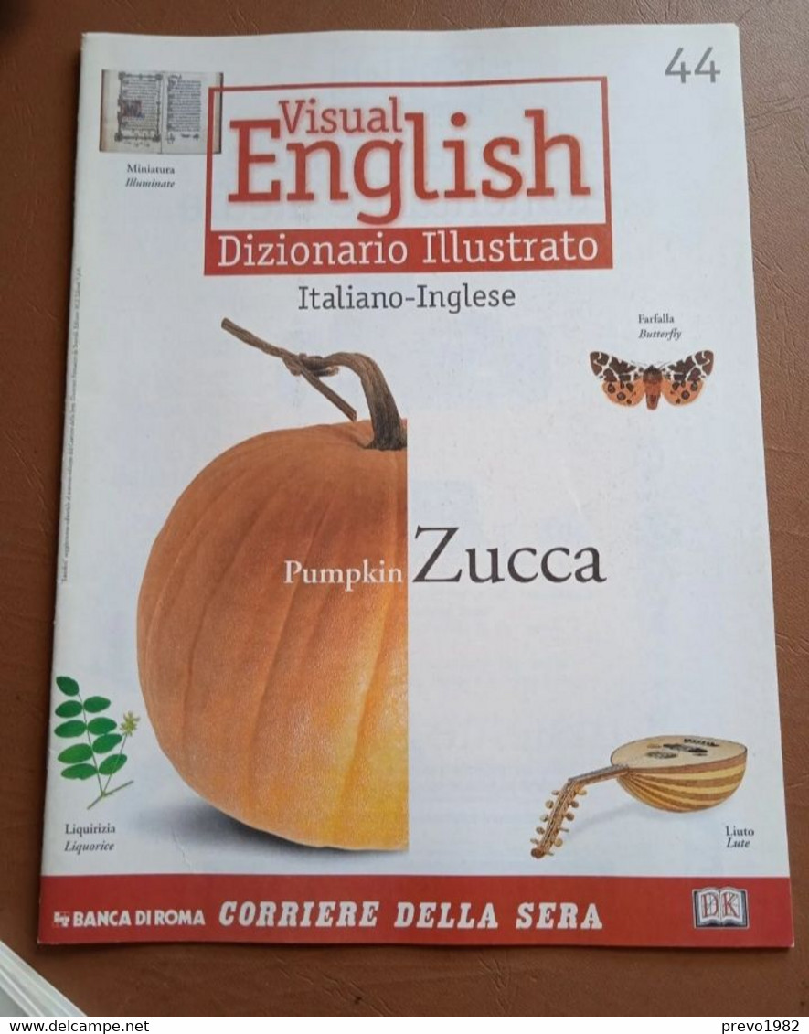 Volumi (fascicoli) Sfusi   Visual English  Dizionario Illustrato  Corriere Della Sera - Language Trainings