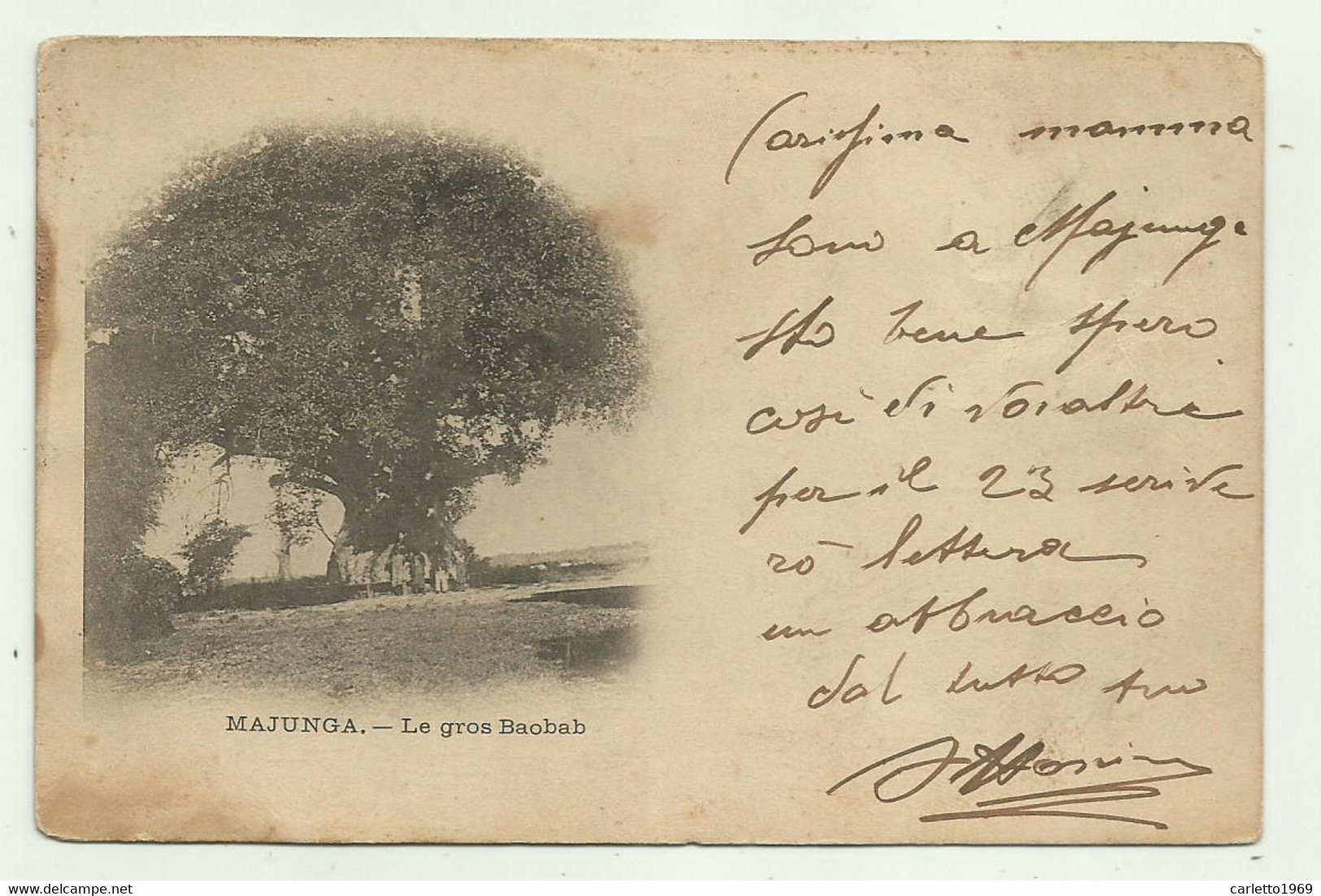 MAJUNGA - LE GROS BAOBAB 1902  - VIAGGIATA FP - Madagascar