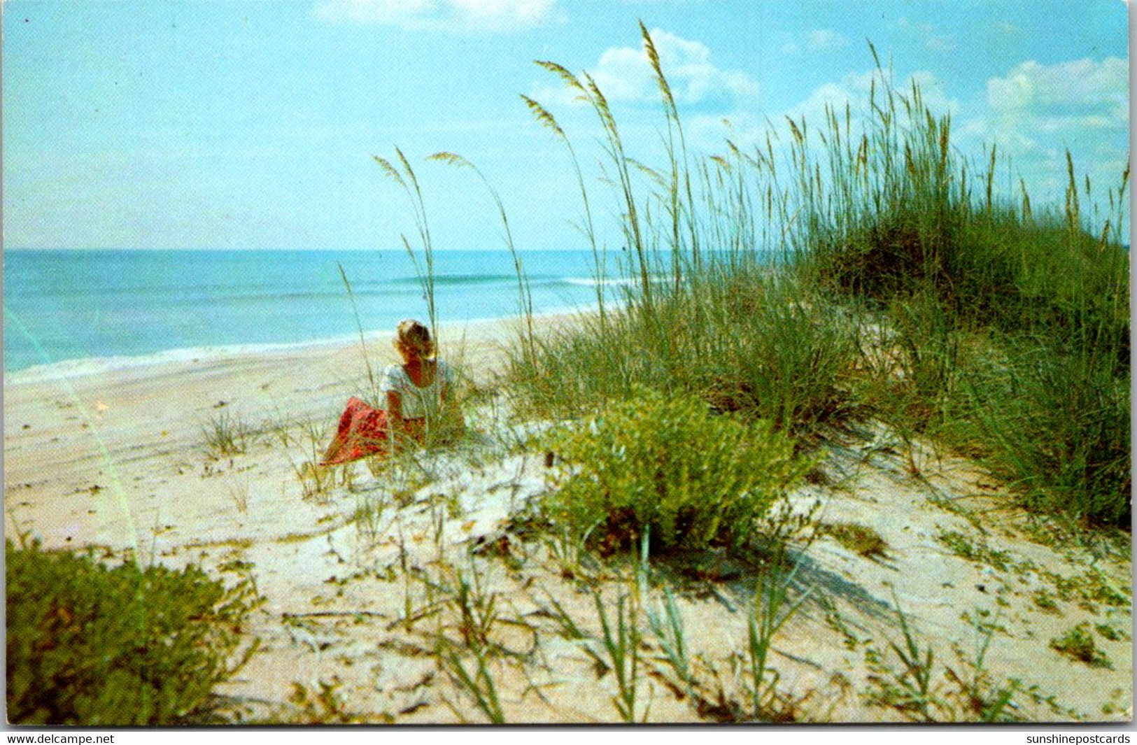 South Carolina Myrtle Beach Greetings Showing Beach And Sea Oats - Myrtle Beach