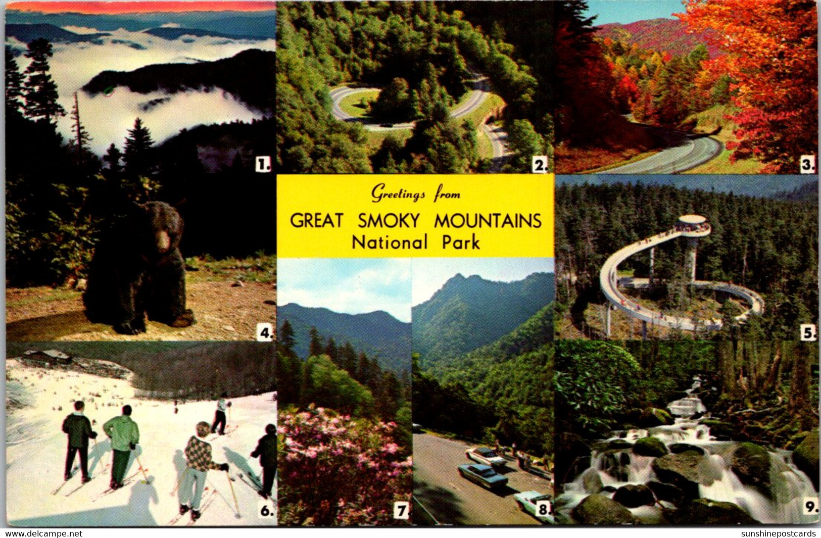 Tennessee Greetings From Great Smoky Mountains National Park Multi View - Smokey Mountains