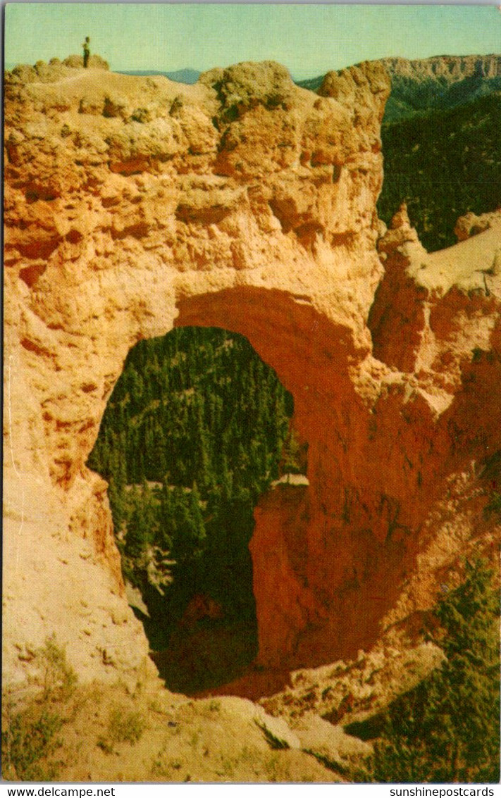 Utah Bryce Canyon National Park The Natural Bridge - Bryce Canyon