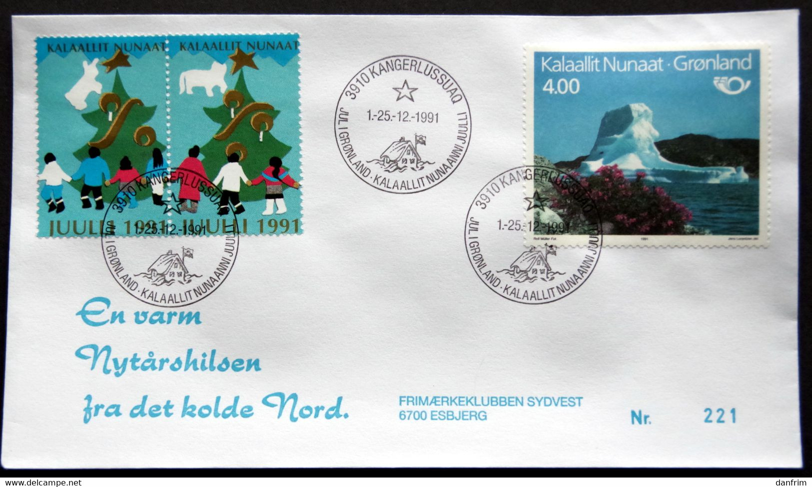 Greenland 1991 Cover  Minr.217  KANGERLUSSUA   (lot  805 ) - Covers & Documents