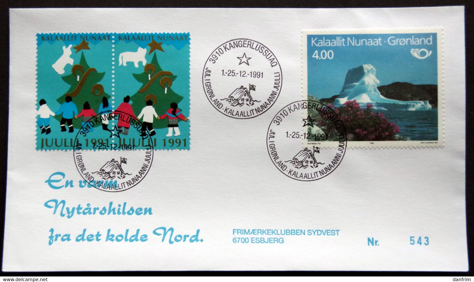 Greenland 1991 Cover  Minr.217  KANGERLUSSUA   (lot  805 ) - Covers & Documents