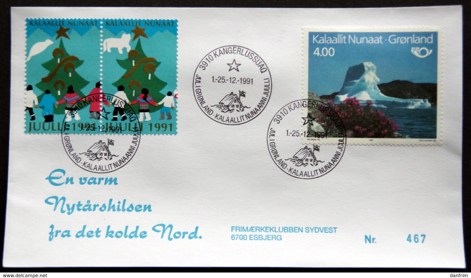 Greenland 1991 Cover  Minr.217  KANGERLUSSUA   (lot  805 ) - Covers & Documents