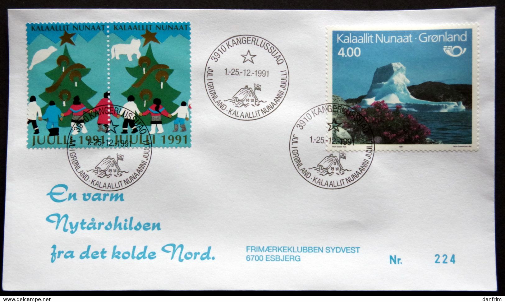 Greenland 1991 Cover  Minr.217  KANGERLUSSUA   (lot  805 ) - Covers & Documents