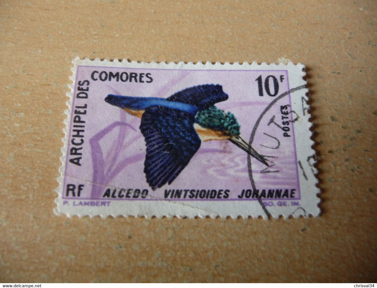 TIMBRE   COMORES   N   42    COTE  3,50  EUROS    OBLITÉRÉ - Used Stamps