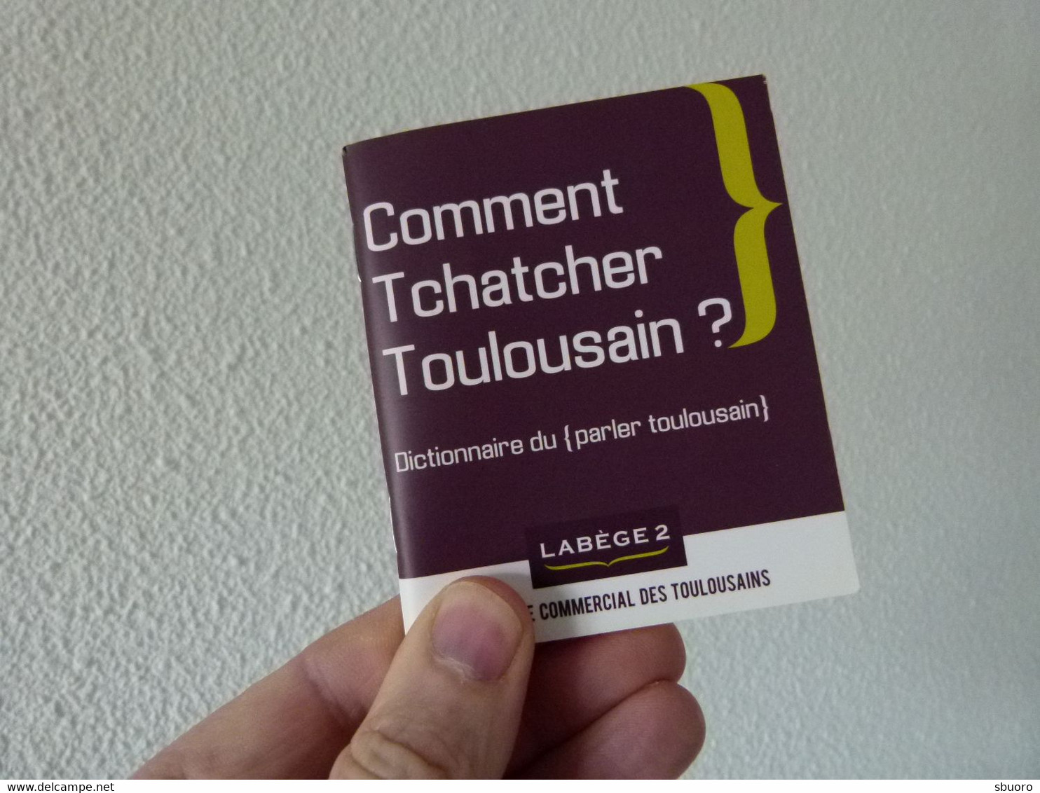 Comment Tchatcher Toulousain ? Petit Dictionnaire Publicitaire Centre Commercial Labège 2. Humour Dialecte Patois Dico - Wörterbücher