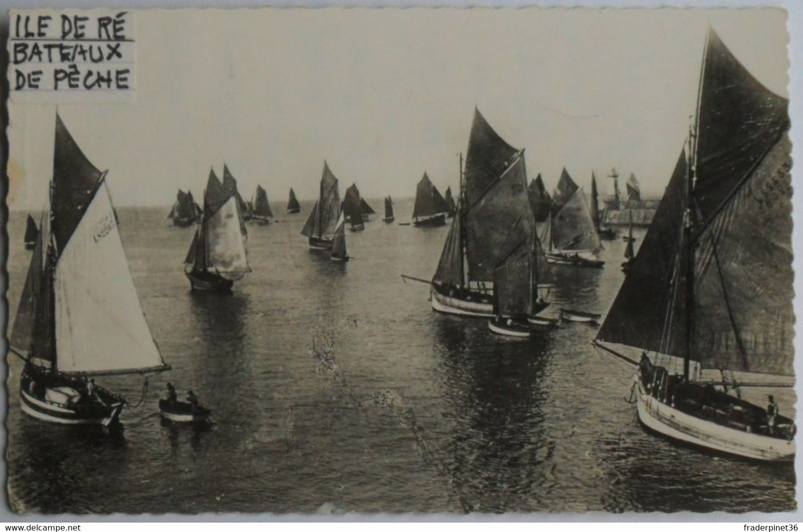 Cartes Postales  Ile De Ré Bateaux De Pêche Ramenant Des Pétoncles - N° 402 - Poitou-Charentes