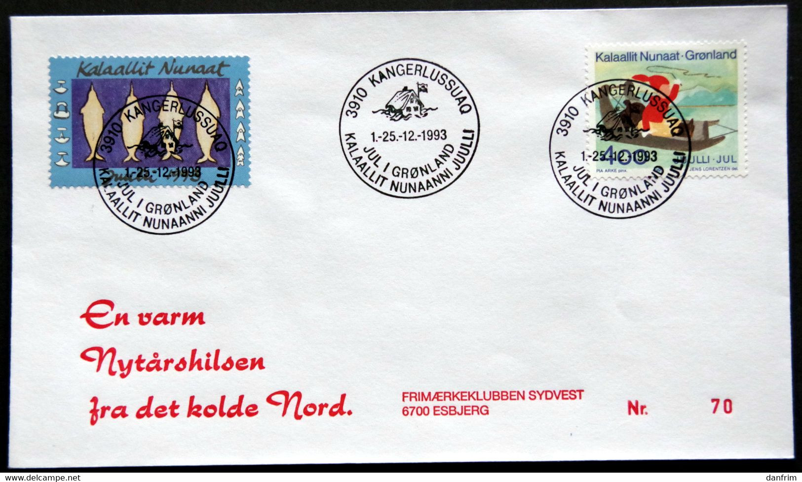 Greenland 1993 Cover  Minr.242  KANGERLUSSUA   (lot  807 ) - Covers & Documents