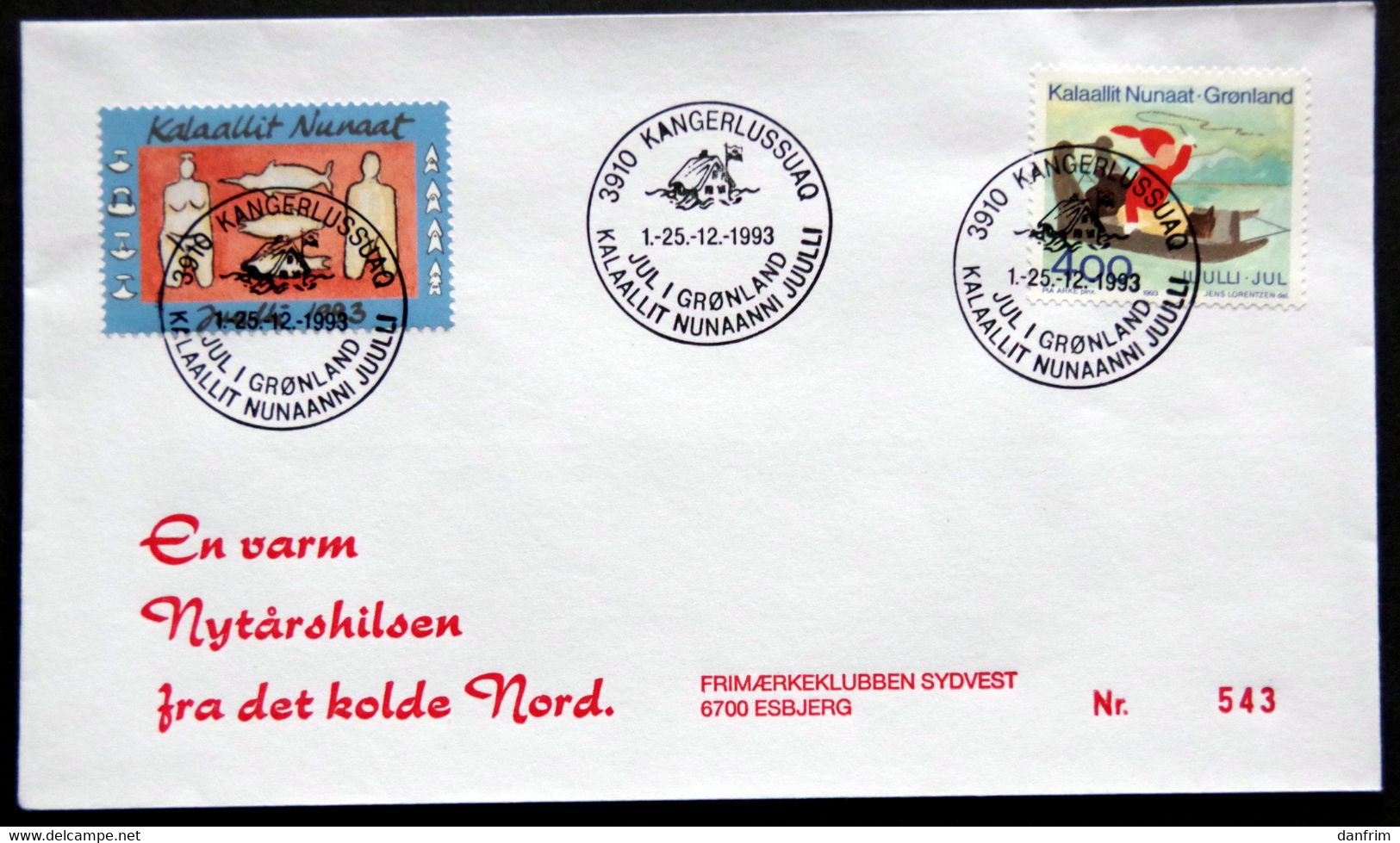 Greenland 1993 Cover  Minr.242  KANGERLUSSUA   (lot  807 ) - Covers & Documents