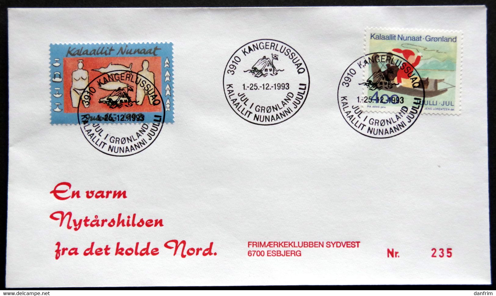 Greenland 1993 Cover  Minr.242  KANGERLUSSUA   (lot  807 ) - Covers & Documents