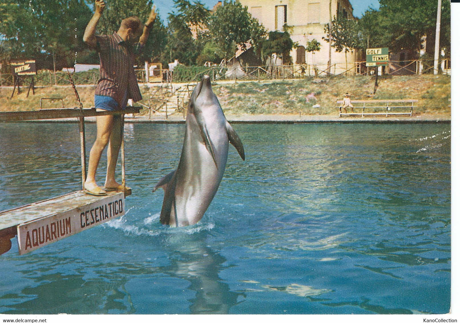 Delphin, Cesenatico, Nicht Gelaufen - Dauphins